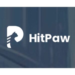 HitPaw AI Art Generator