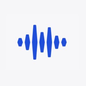 Voice AI