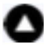 Chat With Twitter Algorithm