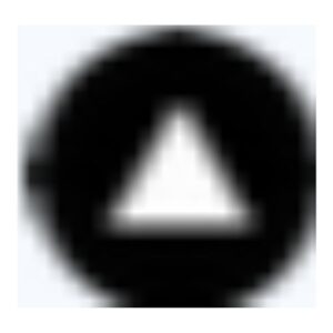 Chat With Twitter Algorithm