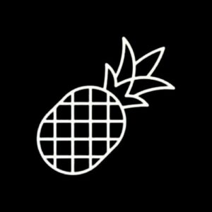 Pineapple Builder
