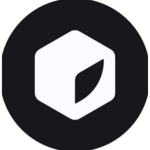 Zerve AI