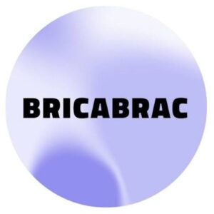 Bricabrac AI