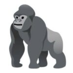 Gorilla Terminal
