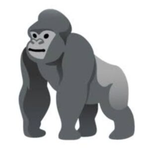 Gorilla Terminal