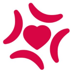 Korewa AI