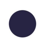 Pico AI