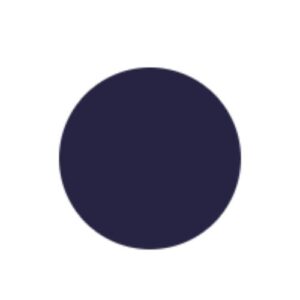 Pico AI