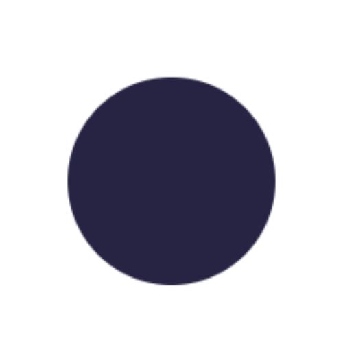 Pico AI