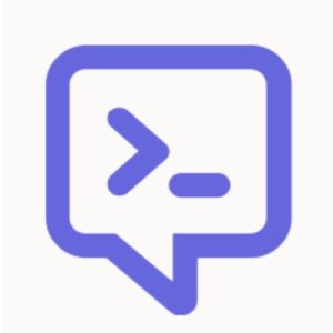 Outset.ai
