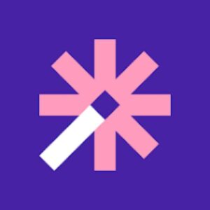 Vizard AI