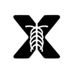 X-ray Interpreter