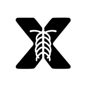 X-ray Interpreter