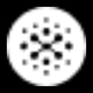 Particle
