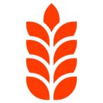 GrainODM