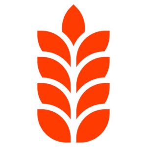 GrainODM
