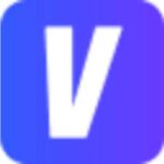 Vidau.ai