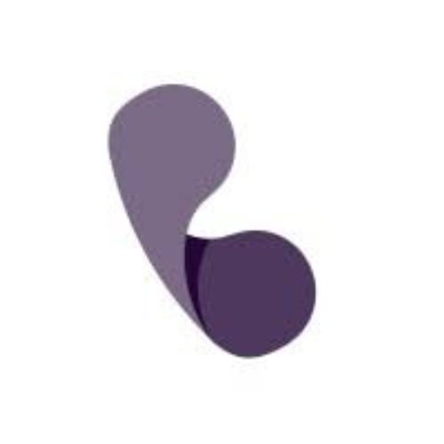 Phonely AI