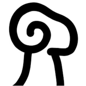 Tallyrus