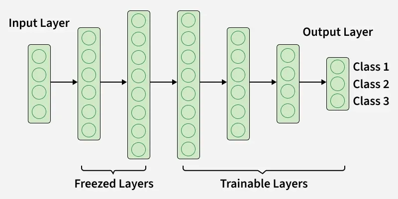 Transfer Learning Frozen Vs Trainable Layers